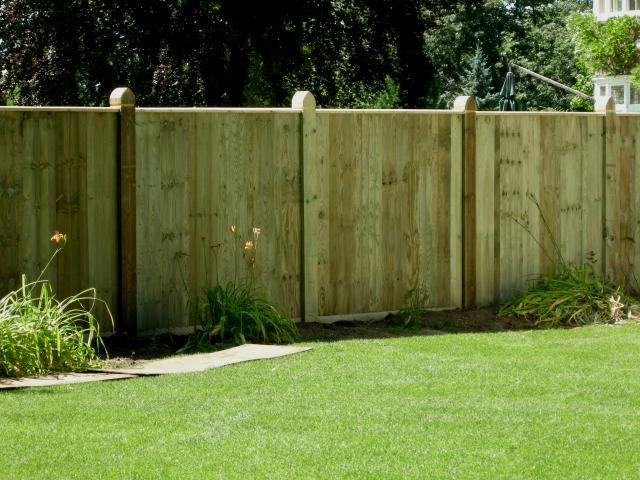 fence_and_stuff_007_3079.jpg